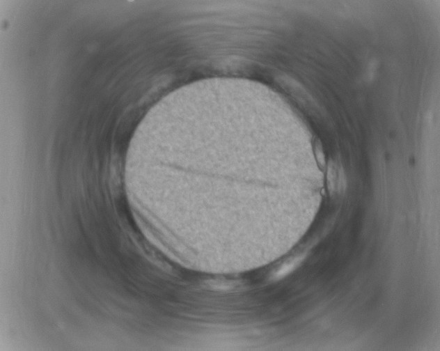 X0000082731107200702232340