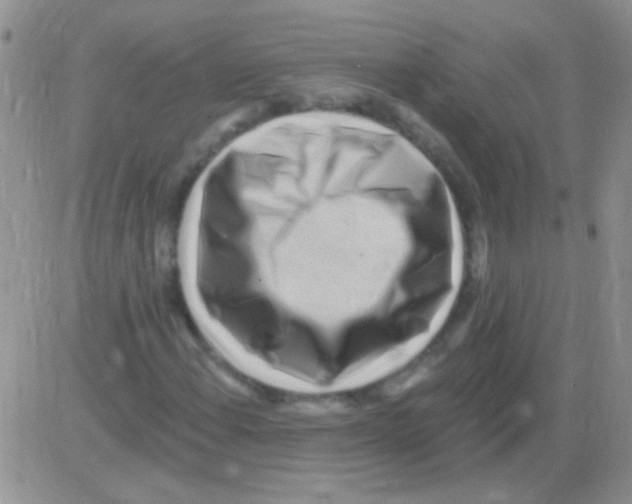 X0000082731108200702232340