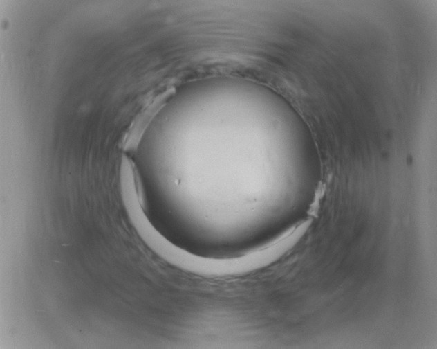 X0000082731109200702232340