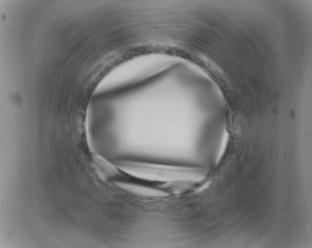 X0000082731110200702232340