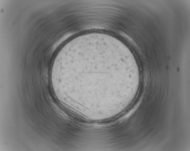 X0000082731113200702232340