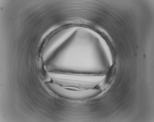 X0000082731114200702232340