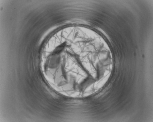 X0000082731115200702232340