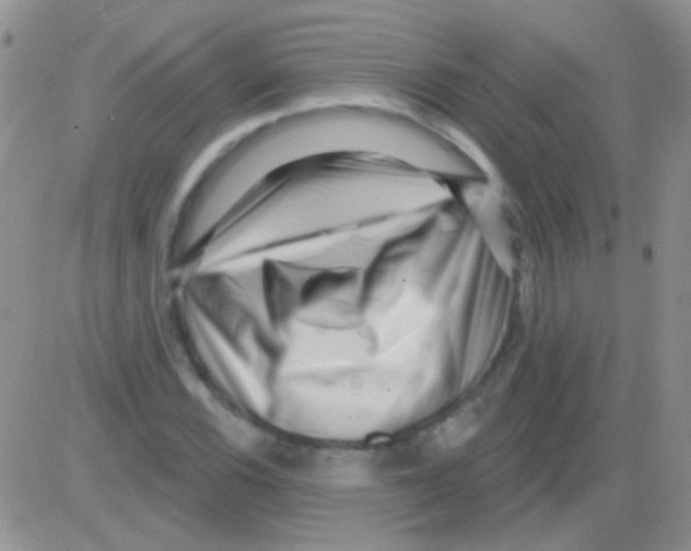 X0000082731116200702232340