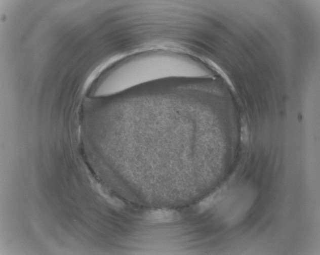 X0000082731117200702232340