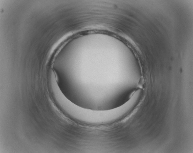 X0000082731118200702232340