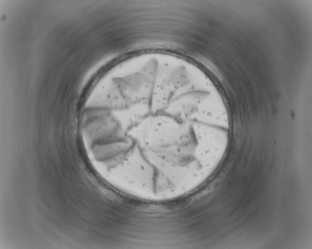 X0000082731119200702232340