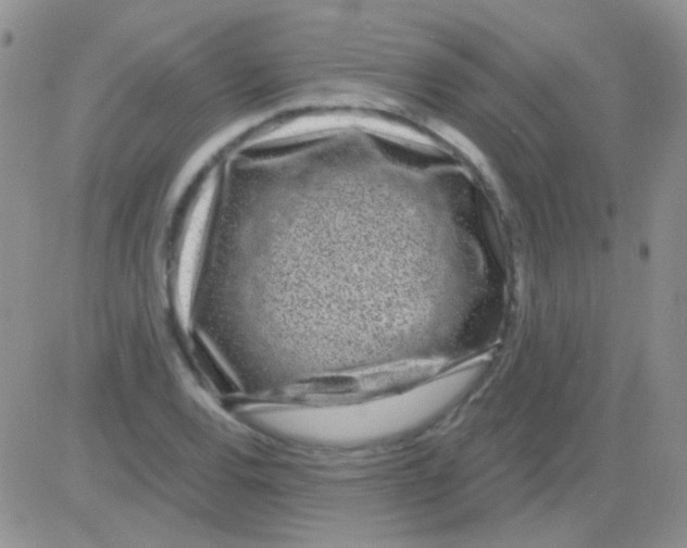 X0000082731120200702232340