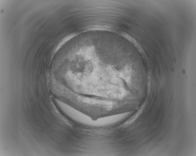 X0000082731121200702232340