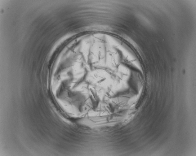 X0000082731123200702232340