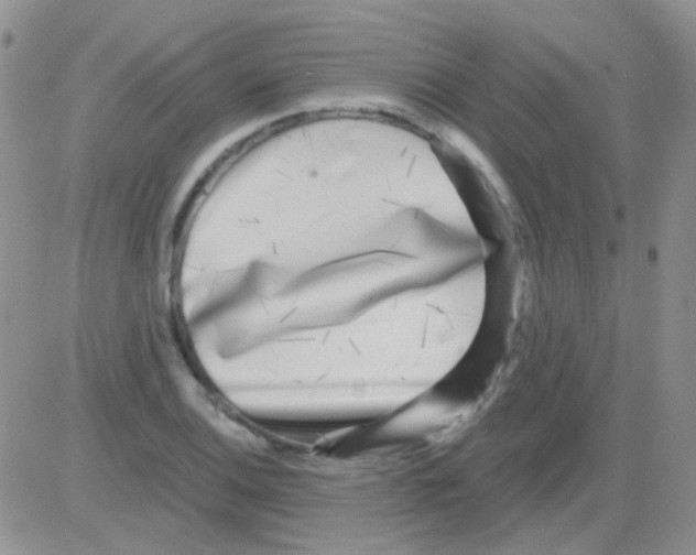 X0000082731124200702232340