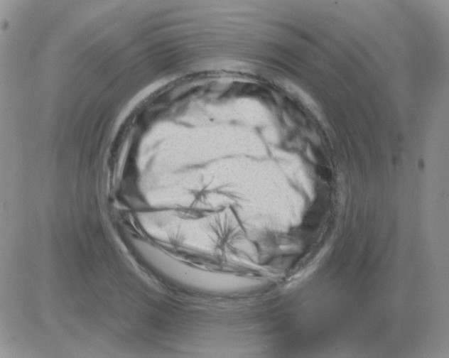 X0000082731125200702232340