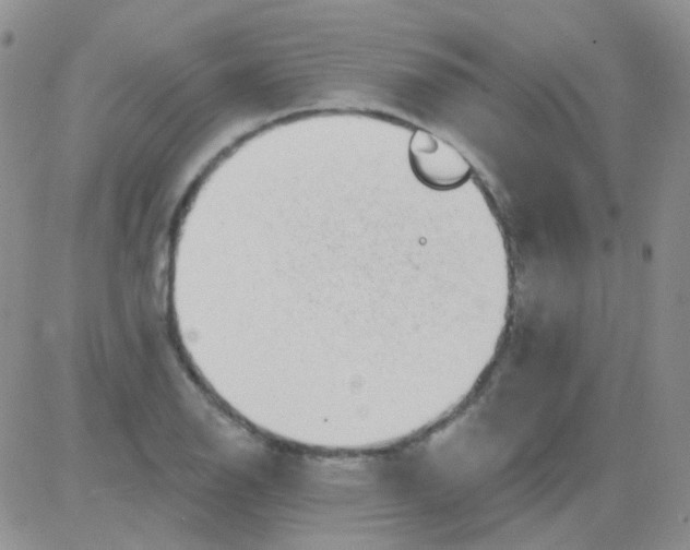 X0000082731126200702232340