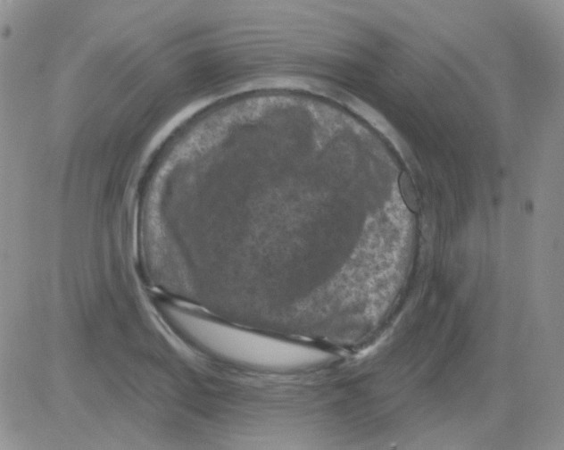 X0000082731127200702232340