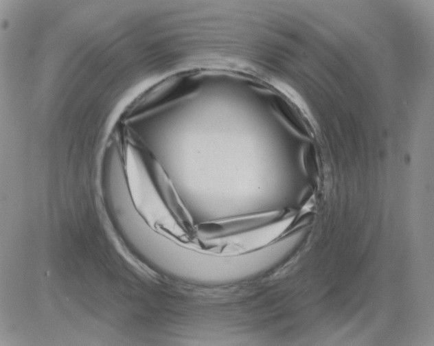 X0000082731128200702232340