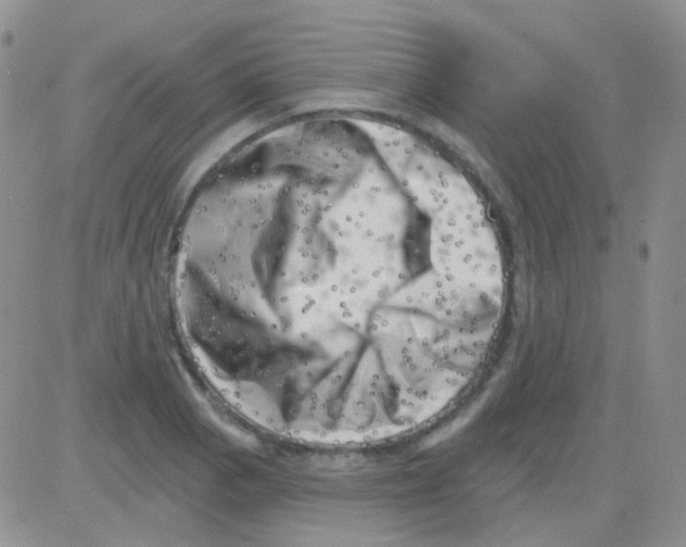 X0000082731129200702232340