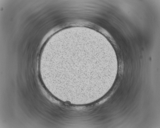 X0000082731130200702232340