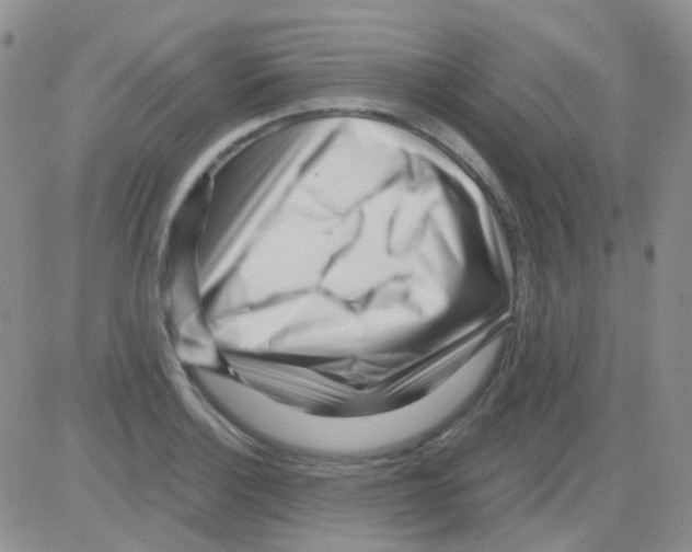 X0000082731132200702232340