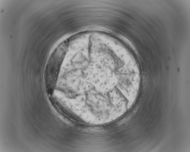 X0000082731133200702232340