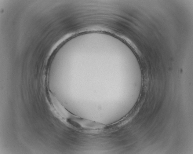 X0000082731134200702232340