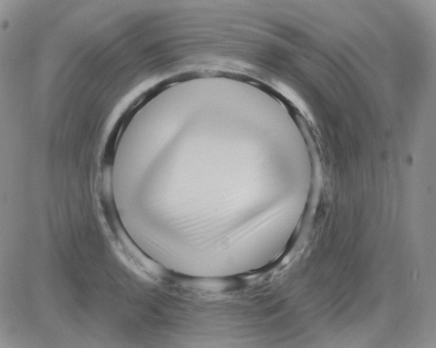 X0000082731136200702232340