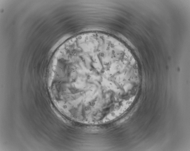 X0000082731137200702232340