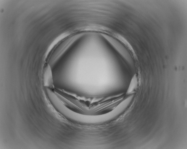 X0000082731138200702232340