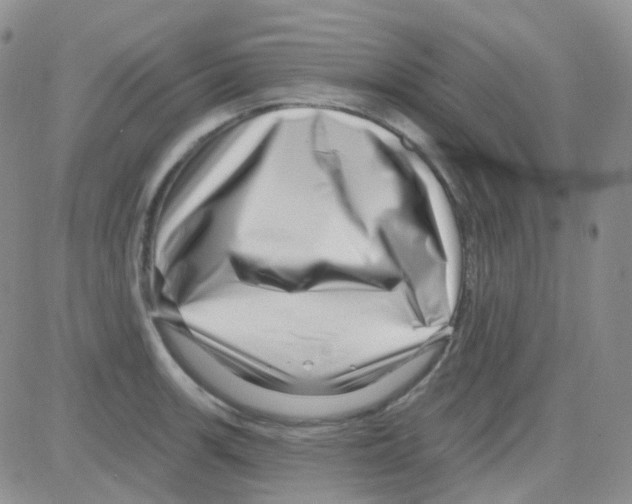 X0000082731139200702232340