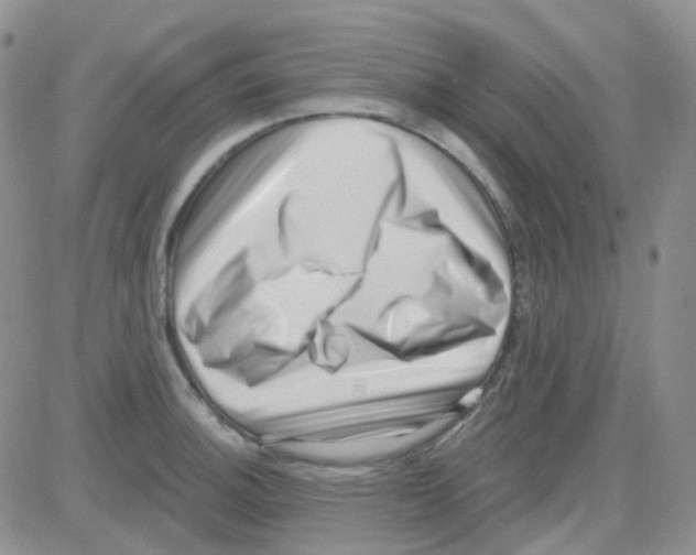 X0000082731140200702232340