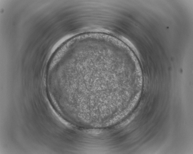 X0000082731141200702232340