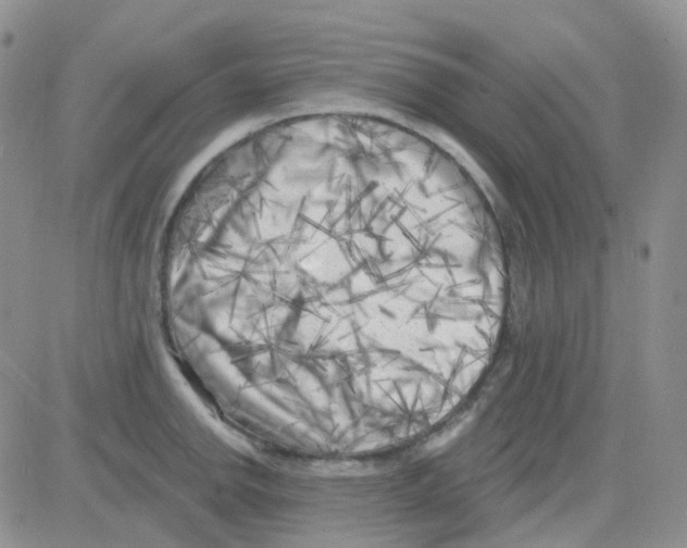 X0000082731142200702232340