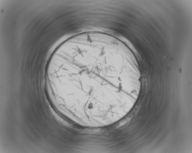 X0000082731143200702232340