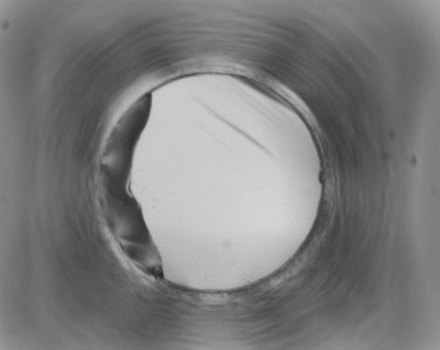 X0000082731144200702232340