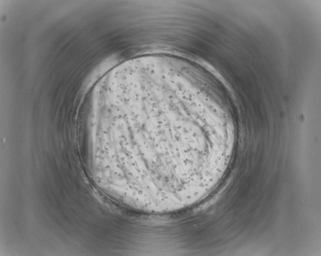 X0000082731145200702232340