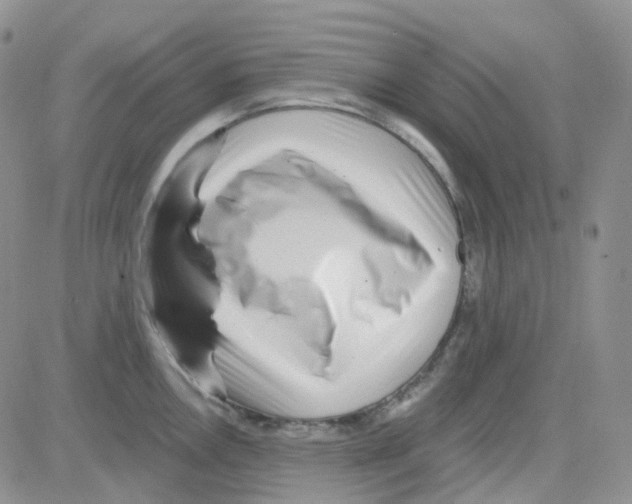 X0000082731146200702232340