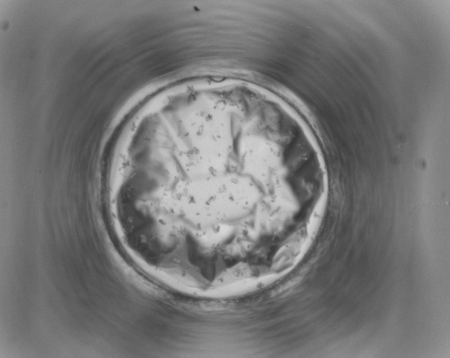 X0000082731147200702232340