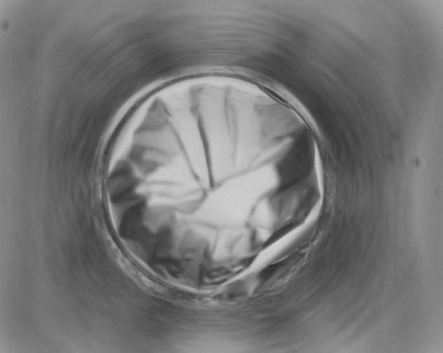 X0000082731148200702232340