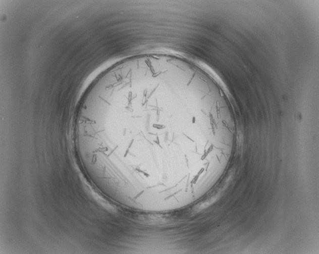 X0000082731149200702232340