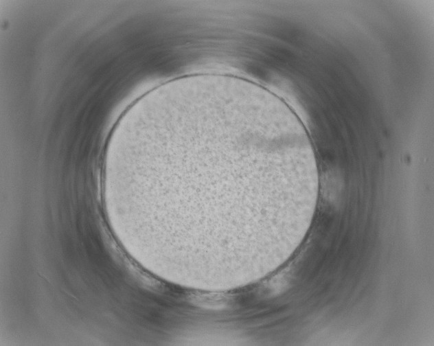 X0000082731150200702232340