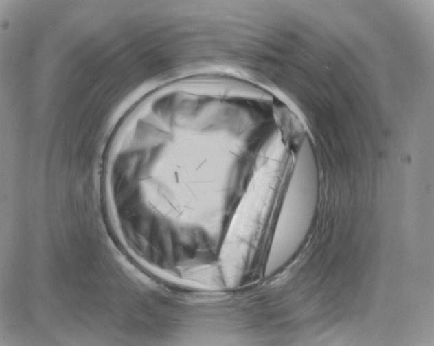 X0000082731151200702232340