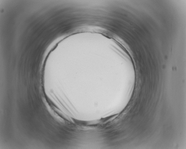 X0000082731152200702232341