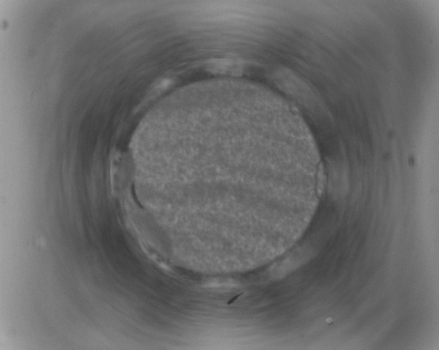 X0000082731154200702232340