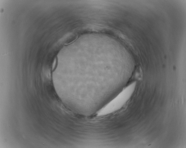 X0000082731155200702232340