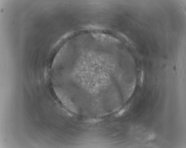 X0000082731157200702232340