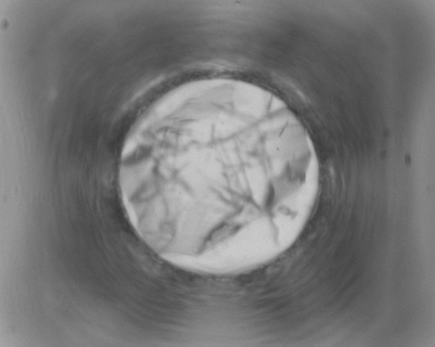 X0000082731158200702232340