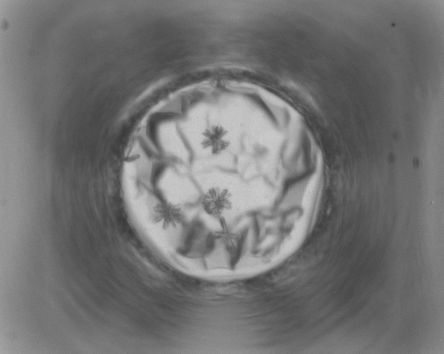 X0000082731159200702232340