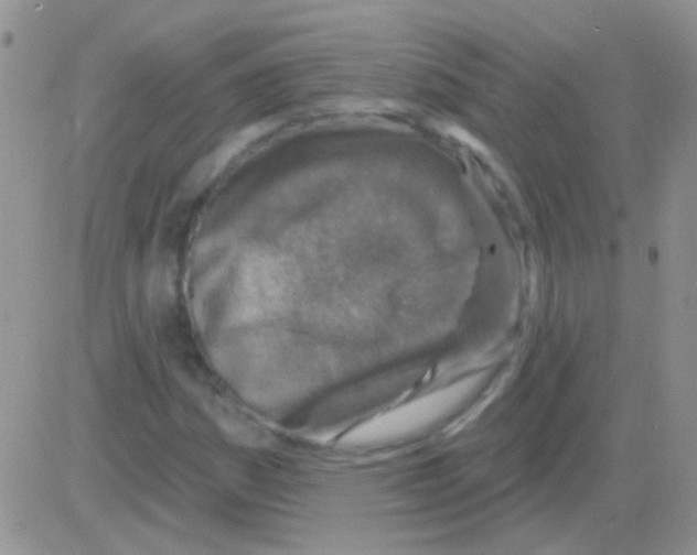 X0000082731161200702232340