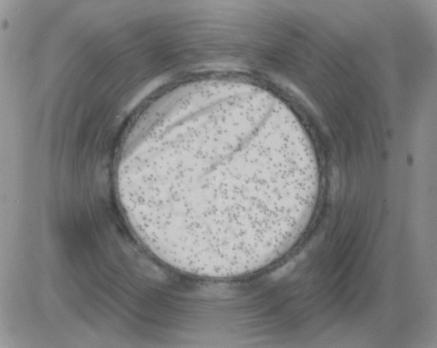 X0000082731162200702232340