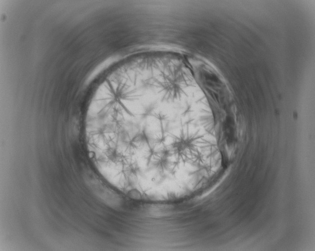 X0000082731163200702232340