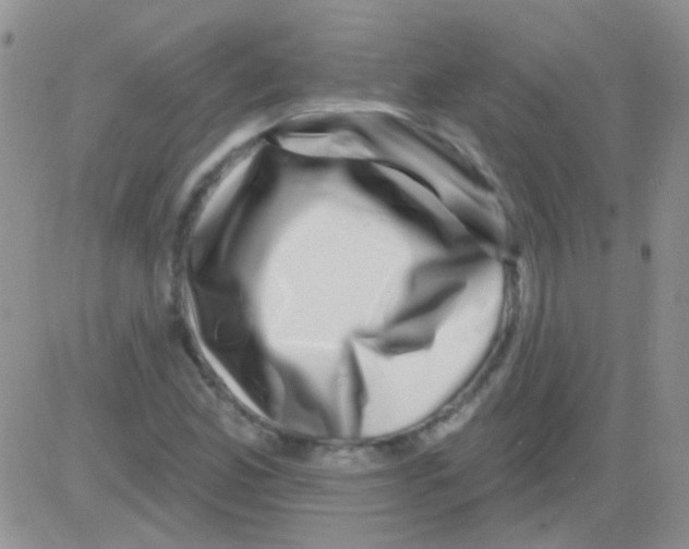 X0000082731165200702232339